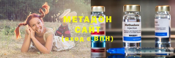 индика Алексин