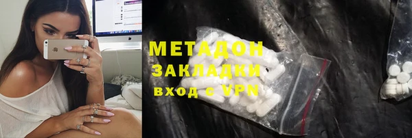индика Алексин
