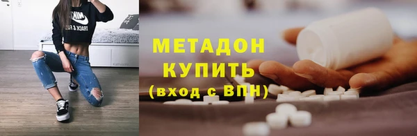 индика Алексин
