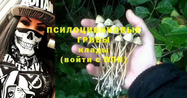 сатива Алзамай