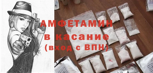 индика Алексин