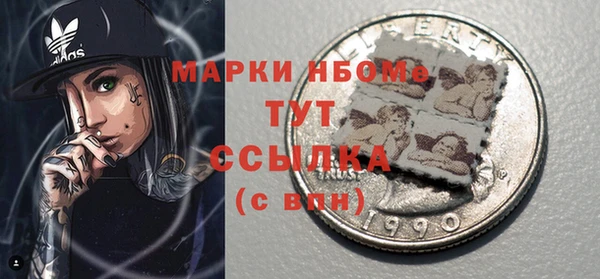 индика Алексин