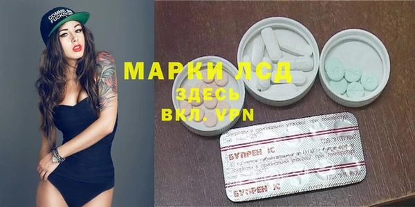 индика Алексин
