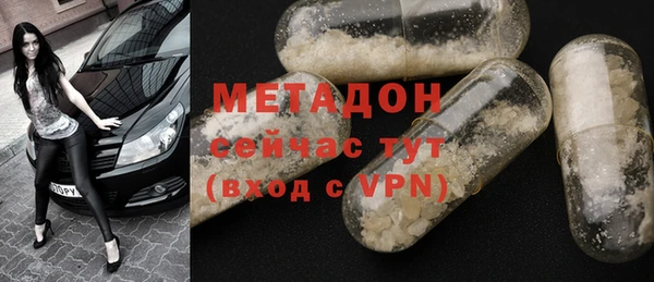 индика Алексин