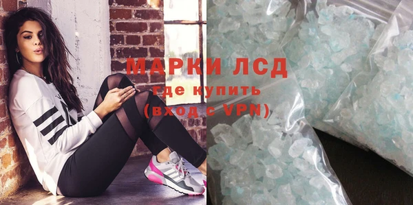 индика Алексин