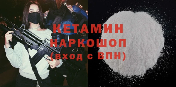 индика Алексин