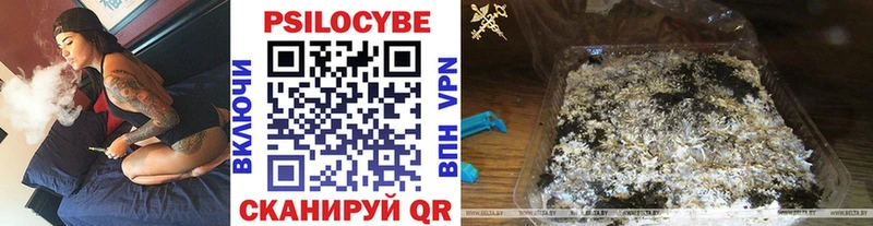Псилоцибиновые грибы Magic Shrooms  mega как зайти  Тамбов 